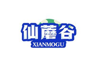 仙蘑谷XIANMOGU