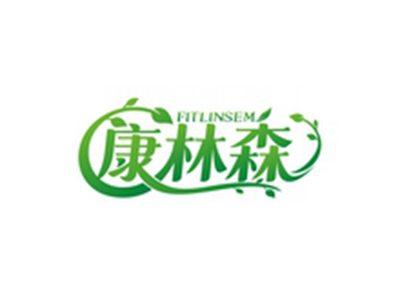 康林森FITLINSEM