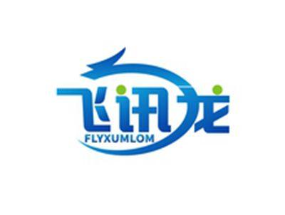 飞讯龙FLYXUMLOM
