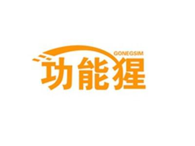 功能猩GONEGSIM