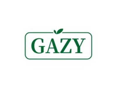 GAZY