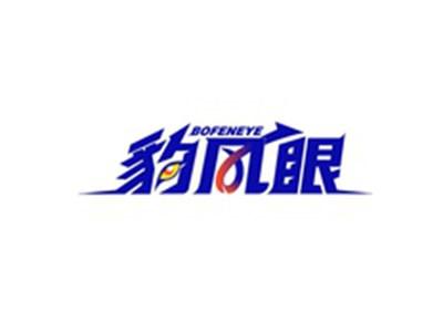 豹风眼BOFENEYE