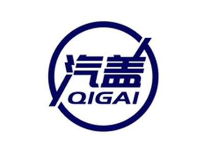 汽盖QIGAI