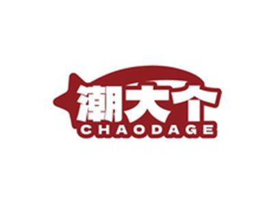 潮大个CHAODAGE