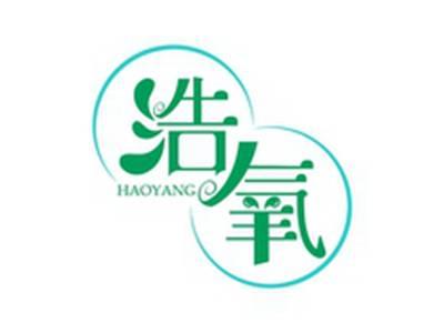 浩氧HAOYANG