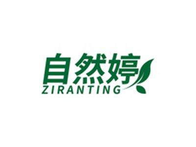 自然婷ZIRANTING