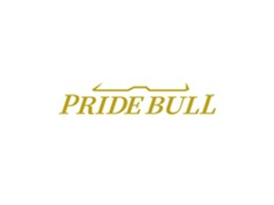 PRIDEBULL