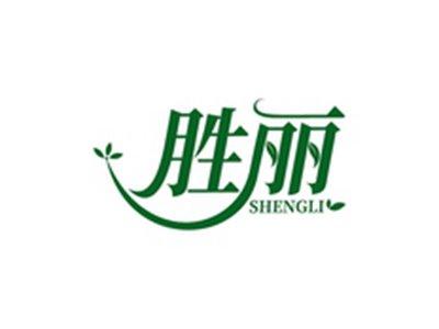 胜丽SHENGLI