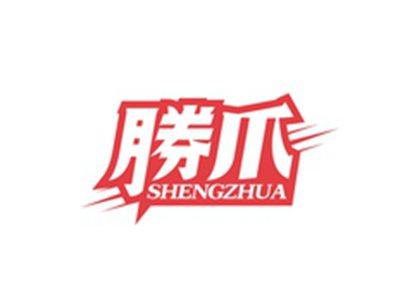 胜爪SHENGZHUA