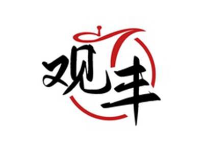 观丰