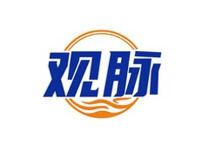 观脉