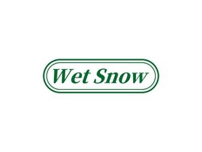 WETSNOW
