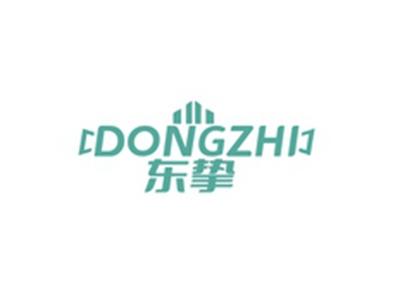 东挚DONGZHI