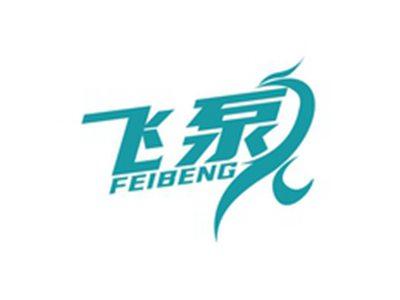 飞泵FEIBENG