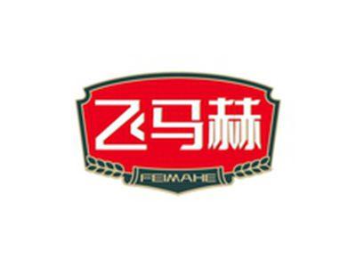 飞马赫FEIMAHE