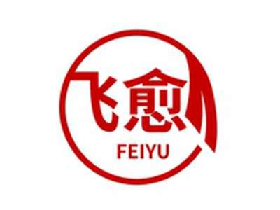 飞愈FEIYU