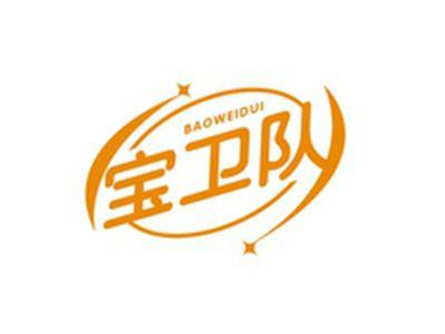 宝卫队BAOWEIDUI