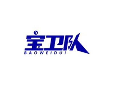 宝卫队BAOWEIDUI