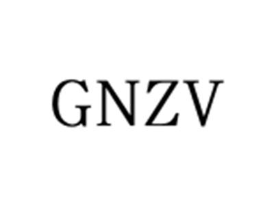 GNZV