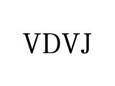 VDVJ