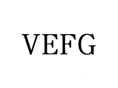 VEFG