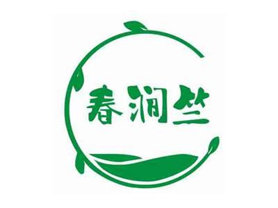春涧竺