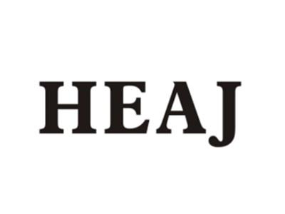 HEAJ                             
(HEA国潮)