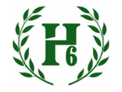 H6