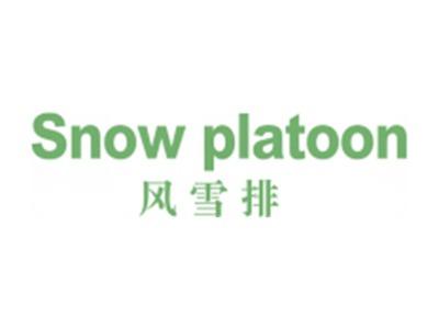 风雪排