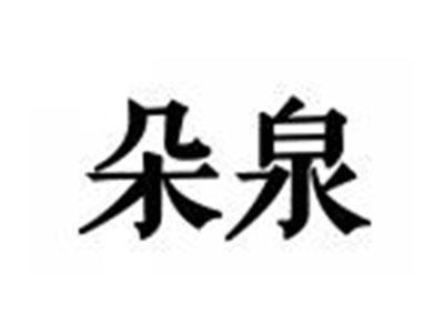 朵泉