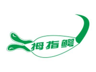 拇指鳄