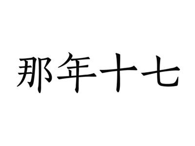 那年十七