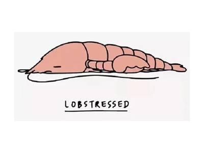 LOBSTRESSED