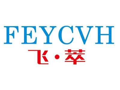 飞·萃FEYCVH