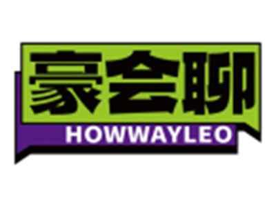 豪会聊HOWWAYLEO