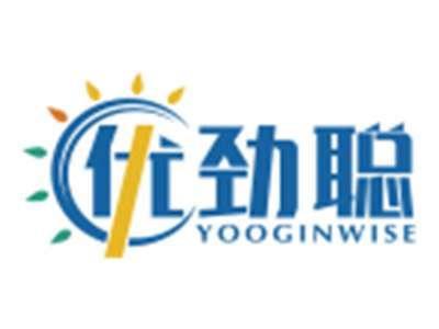 优劲聪YOOGINWISE