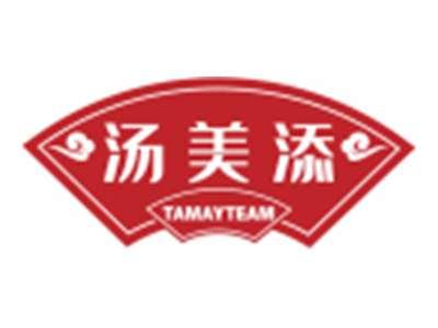 汤美添TAMAYTEAM