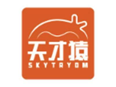 天才猿SKYTRYOM