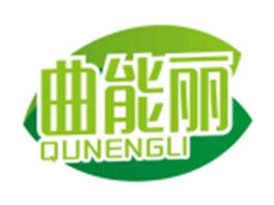 曲能丽QUNENGLI