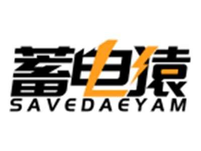 蓄电猿SAVEDAEYAM