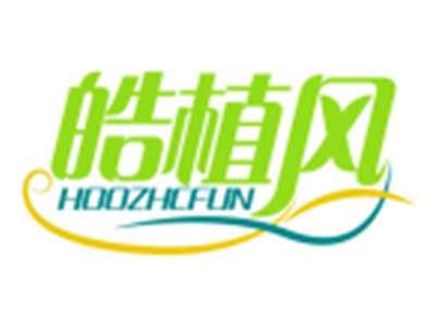 皓植风HOOZHCFUN