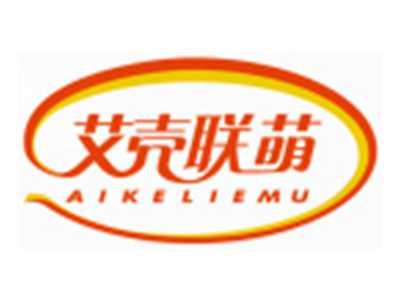 艾壳联萌AIKELIEMU