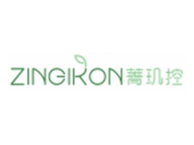 菁玑控ZINGIKON