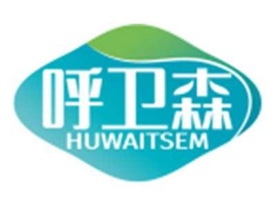 呼卫森HUWAITSEM