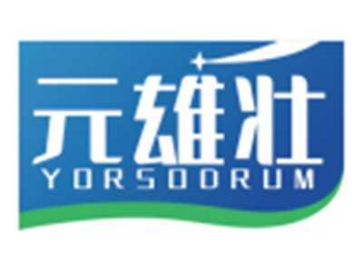 元雄壮YORSODRUM