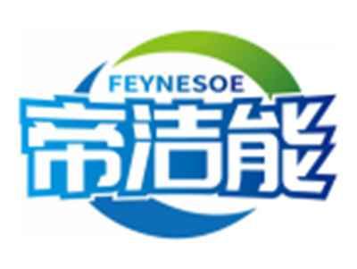 帝洁能FEYNESOE