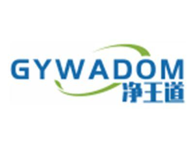 净王道GYWADOM