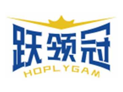 跃领冠HOPLYGAM