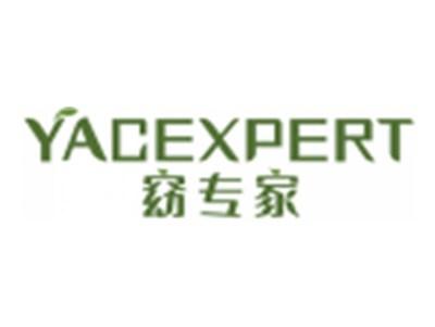 窈专家YACEXPERT