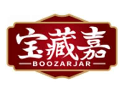 宝藏嘉BOOZARJAR